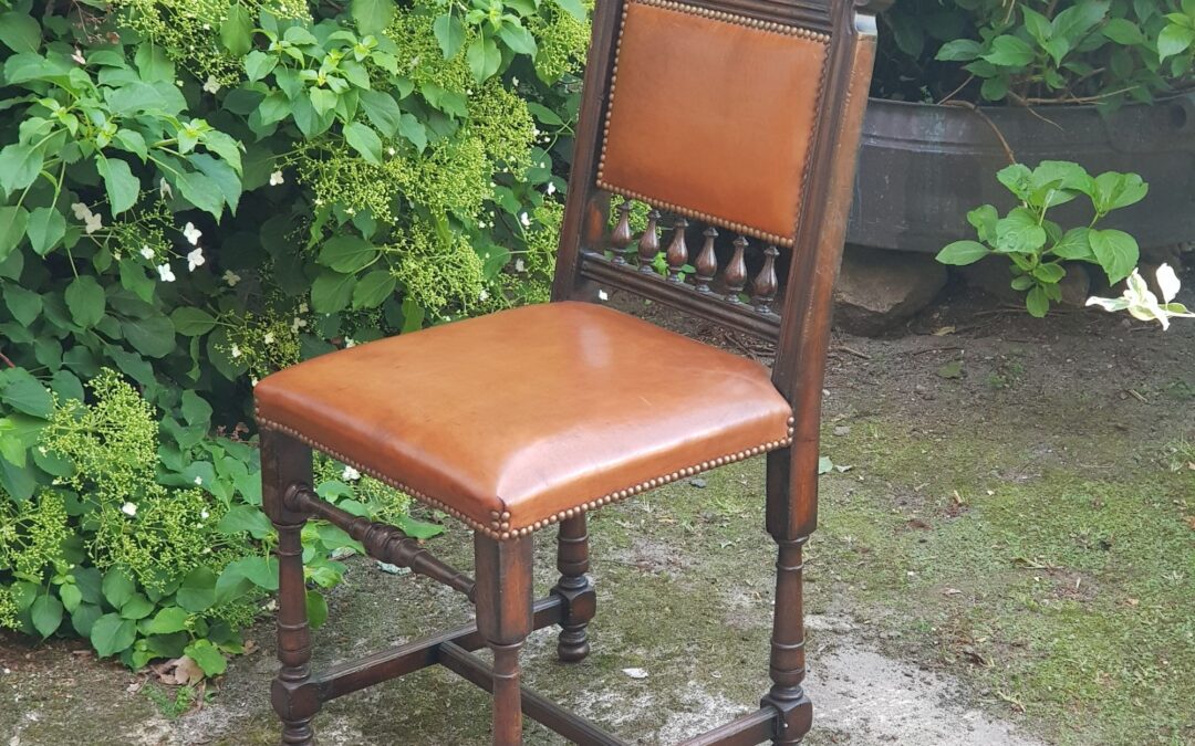 Klassischer Eichenstuhl mit Schafsleder, 6 Stück